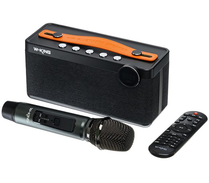 Аудиосистема- караоке W-KING H6 30W (черный)
