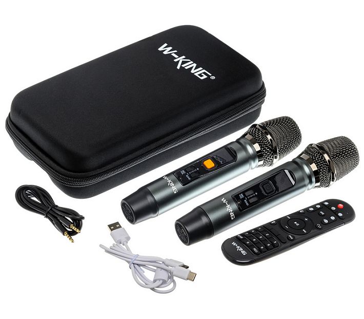 Аудиосистема- караоке W-KING T9 Pro 120W (черный)