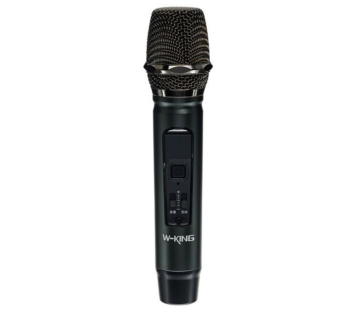 Аудиосистема- караоке W-KING H6 30W (черный)