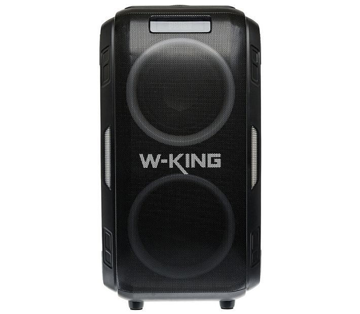 Аудиосистема- караоке W-KING T9 Pro 120W (черный)