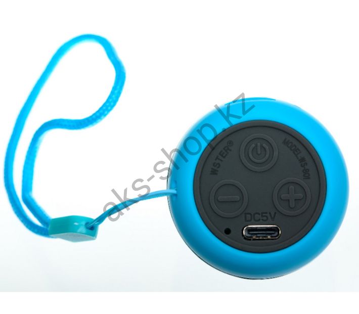 Bluetooth колонка WSTER WS-801 (голубой)