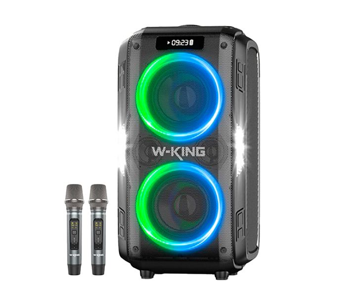 Аудиосистема- караоке W-KING T9 Pro 120W (черный)